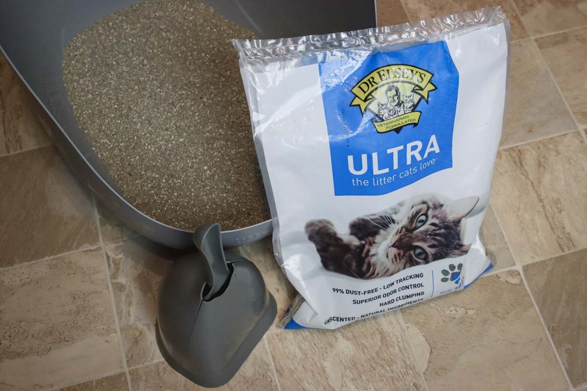 Dr Elsey’s Cat Litter Reviews: Unbiased Insights