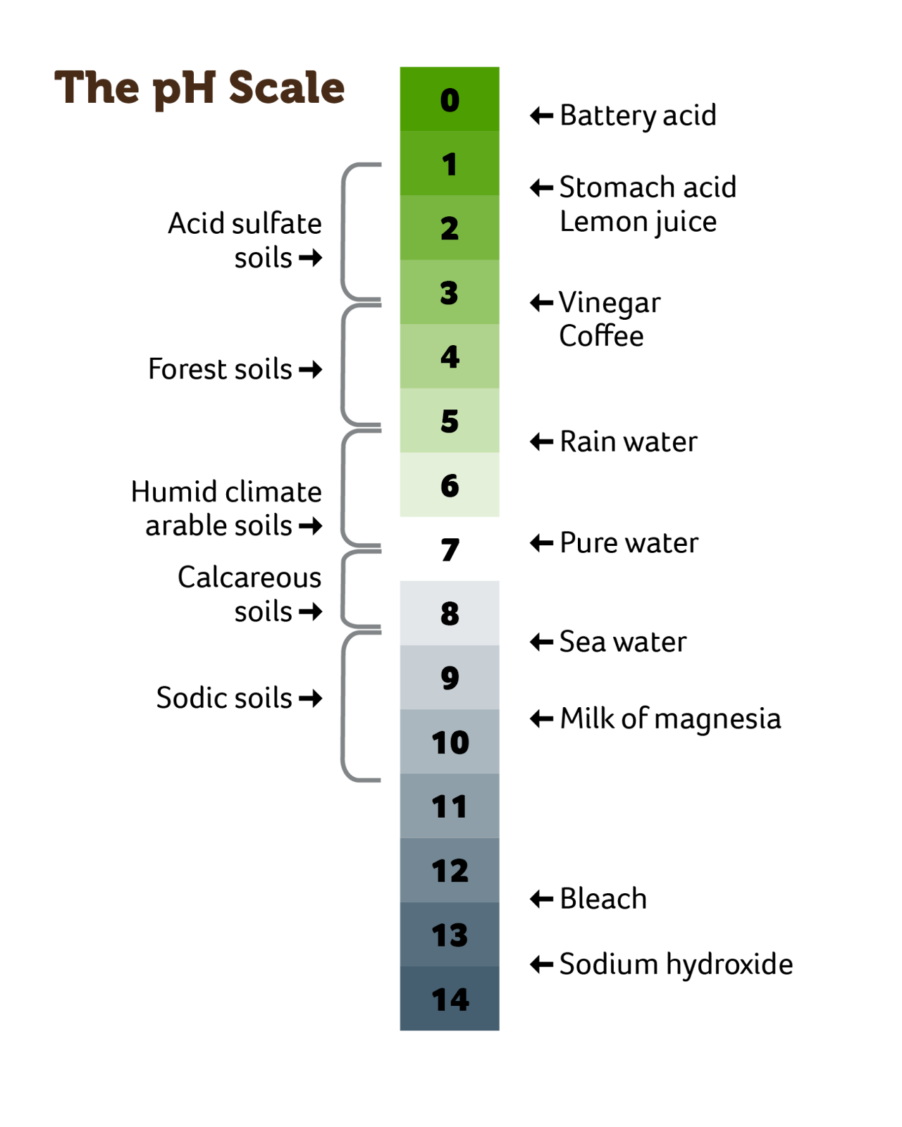 pH Scale