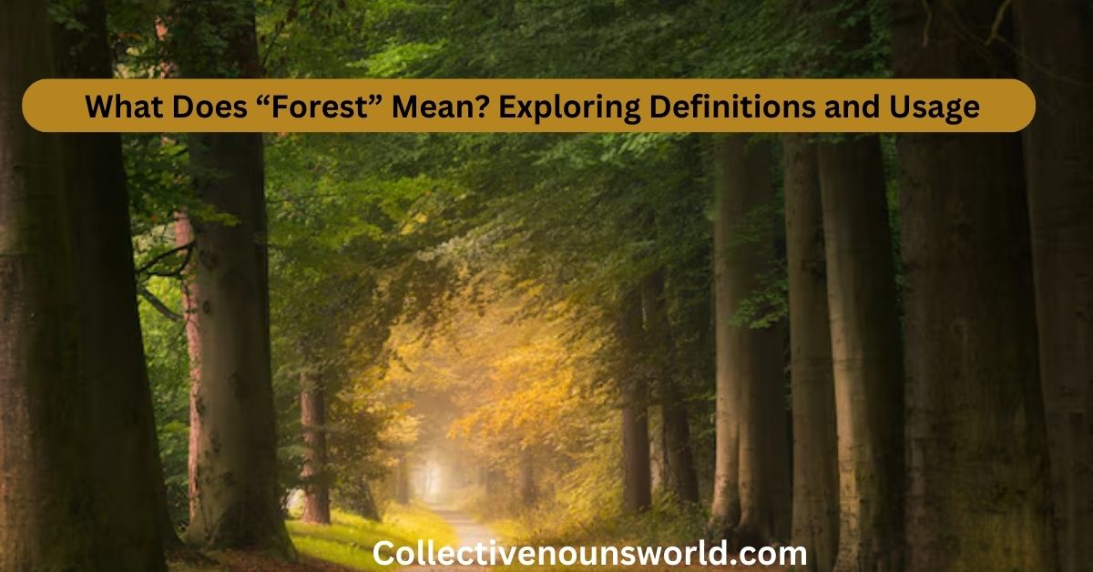 Proper noun Forrest