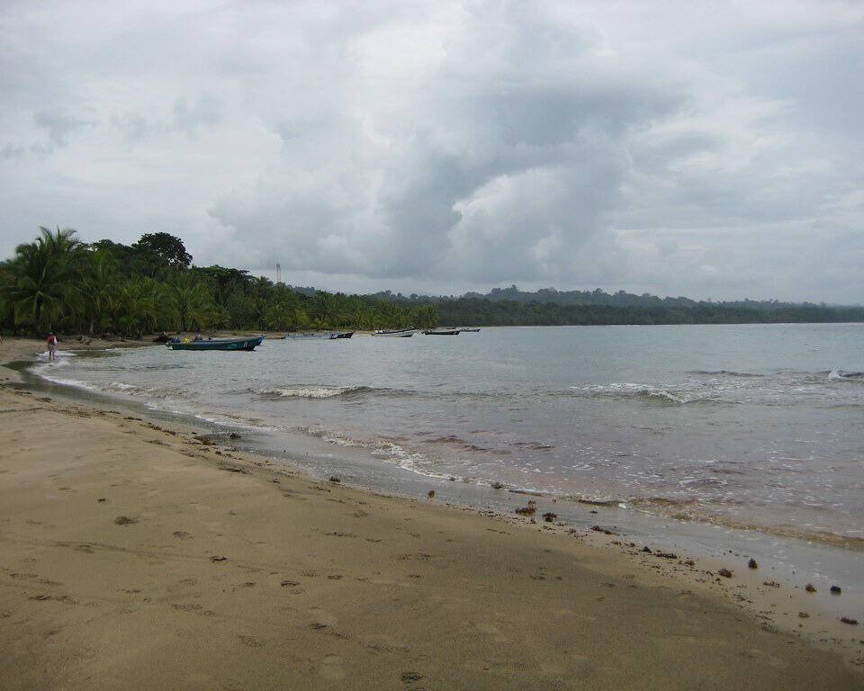 Beach and greenery faraway.