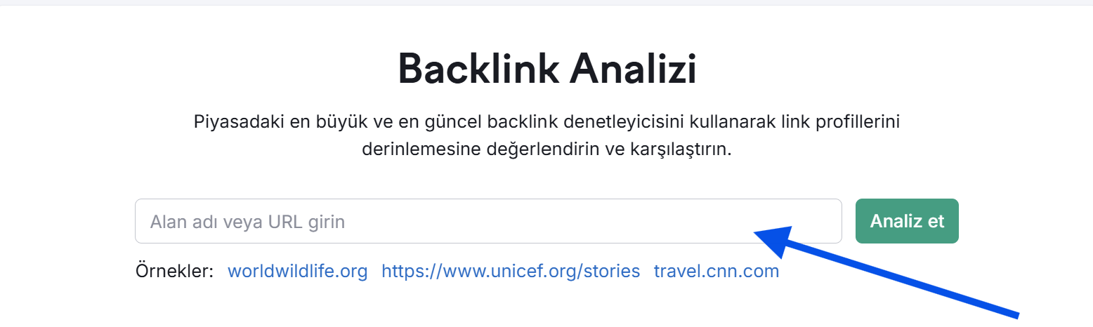 Backlink Analizi Giriş
