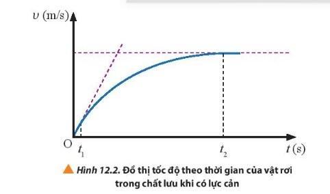 BÀI 12 CHUYỂN ĐỘNG CỦA VẬT TRONG CHẤT LƯUMở rộng: Trong thực tế, mọi vật rơi luôn chịu lực cản của không khí. Với vật nặng kích thước nhỏ (ví dụ viên bi thép), lực cản này có độ lớn không đáng kể và có thể bỏ qua. Nhưng với các vật kích thước lớn (ví dụ dù lượn), lực cản của không khí có độ lớn đáng kể. Khi này, chuyển động của vật rơi có những tính chất gì?Đáp án chuẩn: Khi lực cản của không khí có độ lớn đáng kể thì vận tốc của vật rơi bị giảm, vật rơi chậm lại.1. Chuyển động rơi của vậtCâu 1: Dựa vào đồ thị Hình 12.2, phân tích tính chất chuyển động của vật trong những khoảng thời gian: từ 0 – t1, t1 – t2 và từ thời điểm t2 trở đi.Đáp án chuẩn: Khoảng thời gian từ 0- t1 : chuyển động nhanh dần đềuKhoảng thời gian từ t1-t2 : chuyển động nhanh dần không đềuKhoảng thời gian từ t2 trở đi : chuyển động đều với tốc độ giới hạn không đổi.Câu 2: Quan sát hình 12.1 vẽ vectơ lực cản của dầu tác dụng lên viên bi và mô tả chuyển động của viên bi khi được thả không vận tốc đầu vào dầuĐáp án chuẩn:  Mô tả:+ Ở ngoài không khí, thả không vận tốc đầu, viên bi chuyển động thẳng nhanh dần đều.+ Di vào trong dầu, viên bi chuyển động chậm lại, và chuyển động đềuCâu 3: Quan sát Hình 12.3, mô tả chuyển động của vận động viên nhảy dù từ khi bắt đầu nhảy khỏi máy bay đến khi chạm đất. Phân tích lực tác dụng lên dù trong từng giai đoạn chuyển động.Đáp án chuẩn: + Ban đầu mới nhảy khỏi máy bay, khi chưa bung dù, trọng lực lớn hơn lực cản của không khí nên vận động viên sẽ rơi nhanh dần+ Sau khi chuyển động ổn định thì vận động viên bắt đầu bung dù, lực cản của không khí bằng trọng lực nên chuyển động của vận động viên đều và đáp xuống đất.Câu 4: Tìm hiểu một số biện pháp thực tiễn giúp giảm lực cản của nước lên cơ thể khi chúng ta bơi.Đáp án chuẩn: + Giữ thăng bằng cơ thể khi bơi+ Đội mũ bơi và kính bơi, giảm ma sát này bằng silicone.+ Giữ các ngón chân về phía sau để giảm lực cản.2.Sự phụ thuộc của lực cản không khí vào hình dạng vật