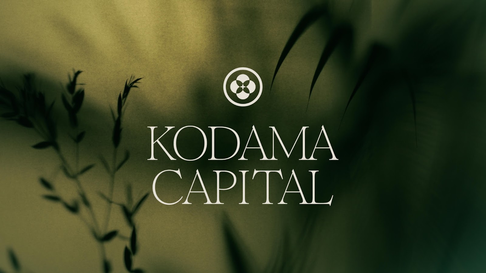 Image from the Kodama Capital: Branding a Legacy through Japanese Tradition article on Abduzeedo