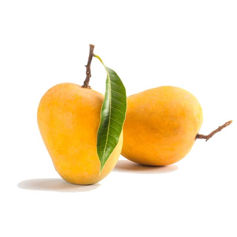 National Symbols Of India - National Fruit - mango