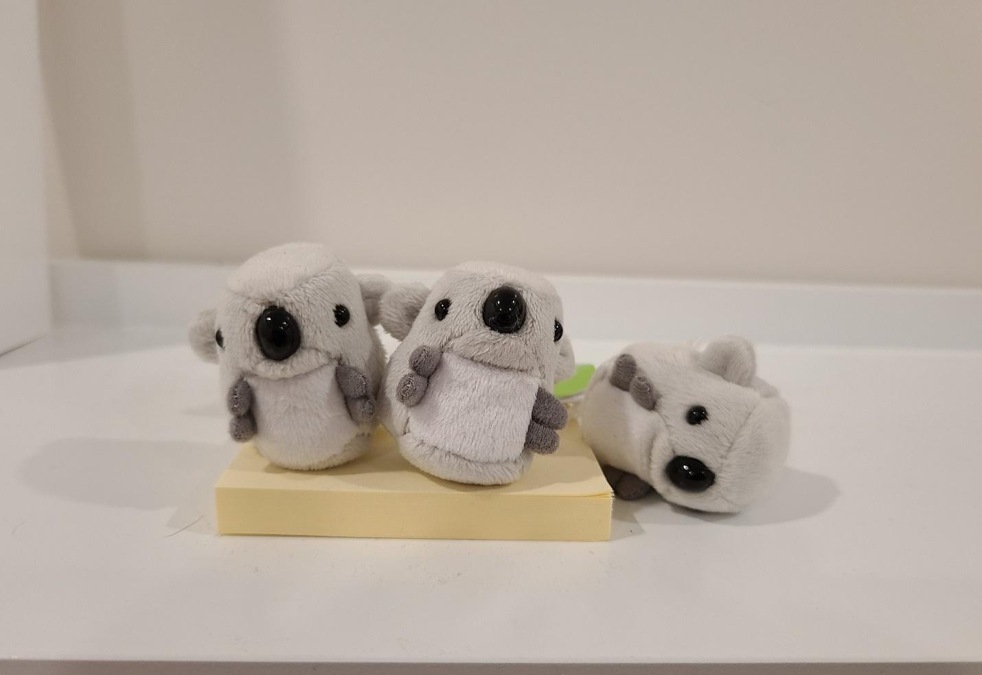 Three identical tiny stuffed koalas, shaped like beans, with shiny noses and shiny eyes. Two are standing upright and the third has fallen on his side. Photographed on a white shelf.