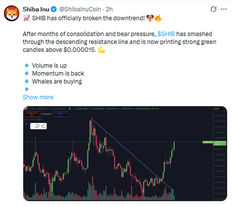 Shiba Inu Price में उछाल, लंबे समय की गिरावट के बाद तेजी