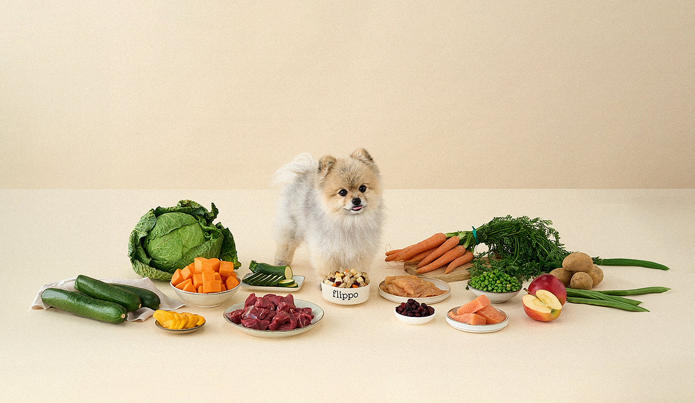 Image from the FLIPPO Pet Food: A Fresh Take on Branding and Packaging Design article on Abduzeedo