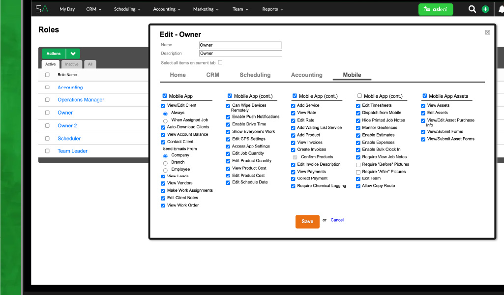 sa team app_flexible permissions