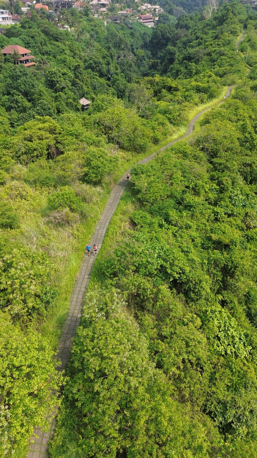 Amora Ubud: A Romantic Ubud Villa Resort Rooted in Love and Legacy
