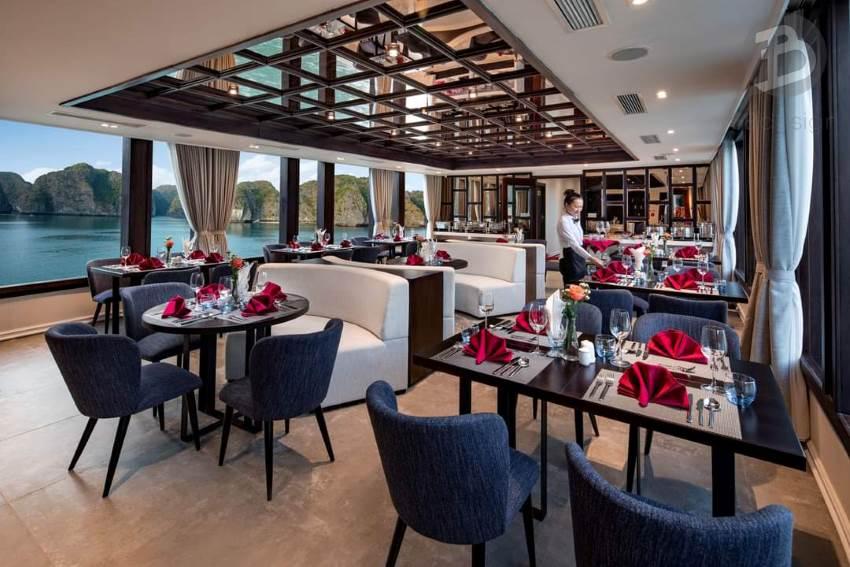 Thiết kế nội thất du thuyền và tàu du lịch hòa mình với biển