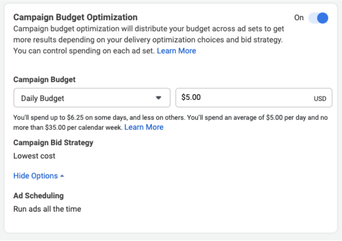 All budgets set at the campaign level use campaign budget optimization (CBO) 