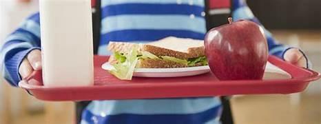 A person holding a tray with a sandwich and an apple

Description automatically generated