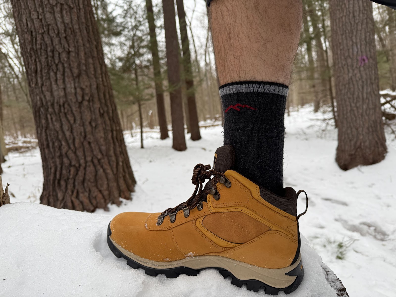 The Mt Maddsen hiking in the snow showing it's resilience against rough terrain