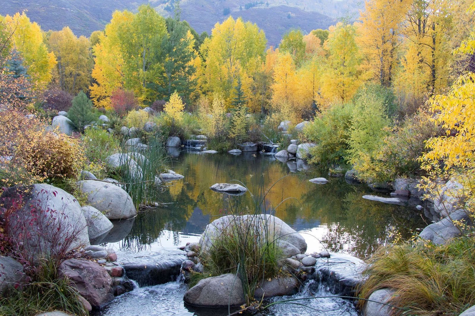 A quiet stream flowing through the John Denver Sanctuary in Aspen, Colorado, surrounded by vibrant fall foliage, smooth boulders and lush greenery reflecting in the water.