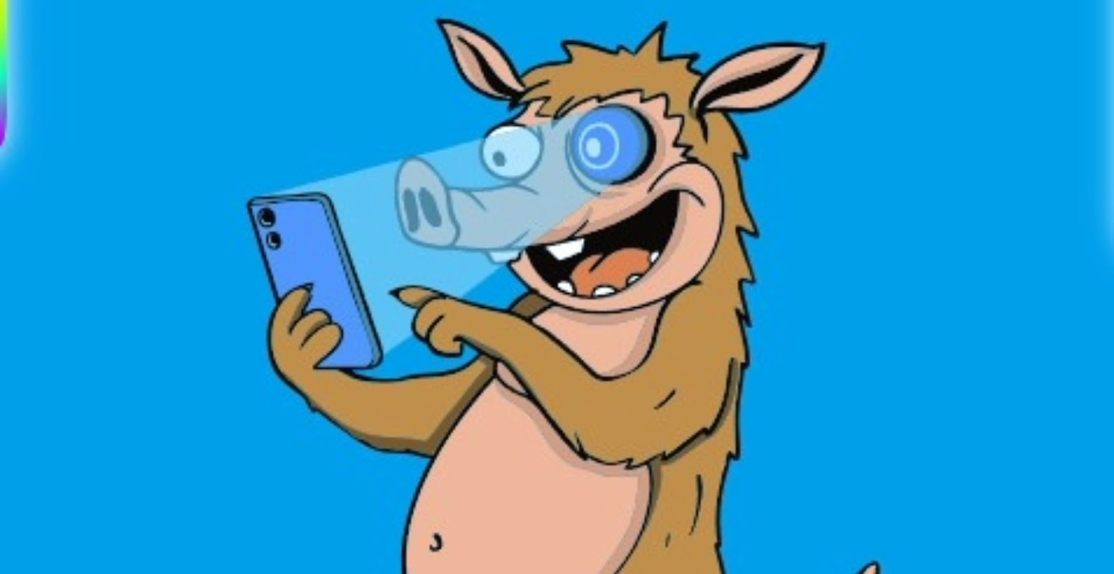snorter, solana, meme coin, bot trading, cripto