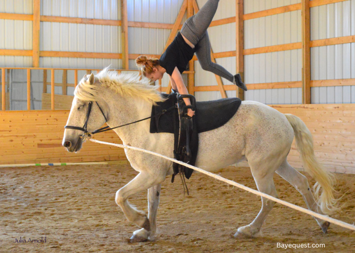 Equestrian vaulting