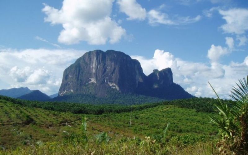 gunung di kalimantan