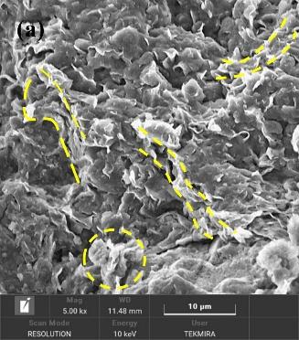 A close-up of a microscope

AI-generated content may be incorrect.