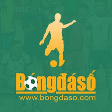 bongdaso - Hình 1