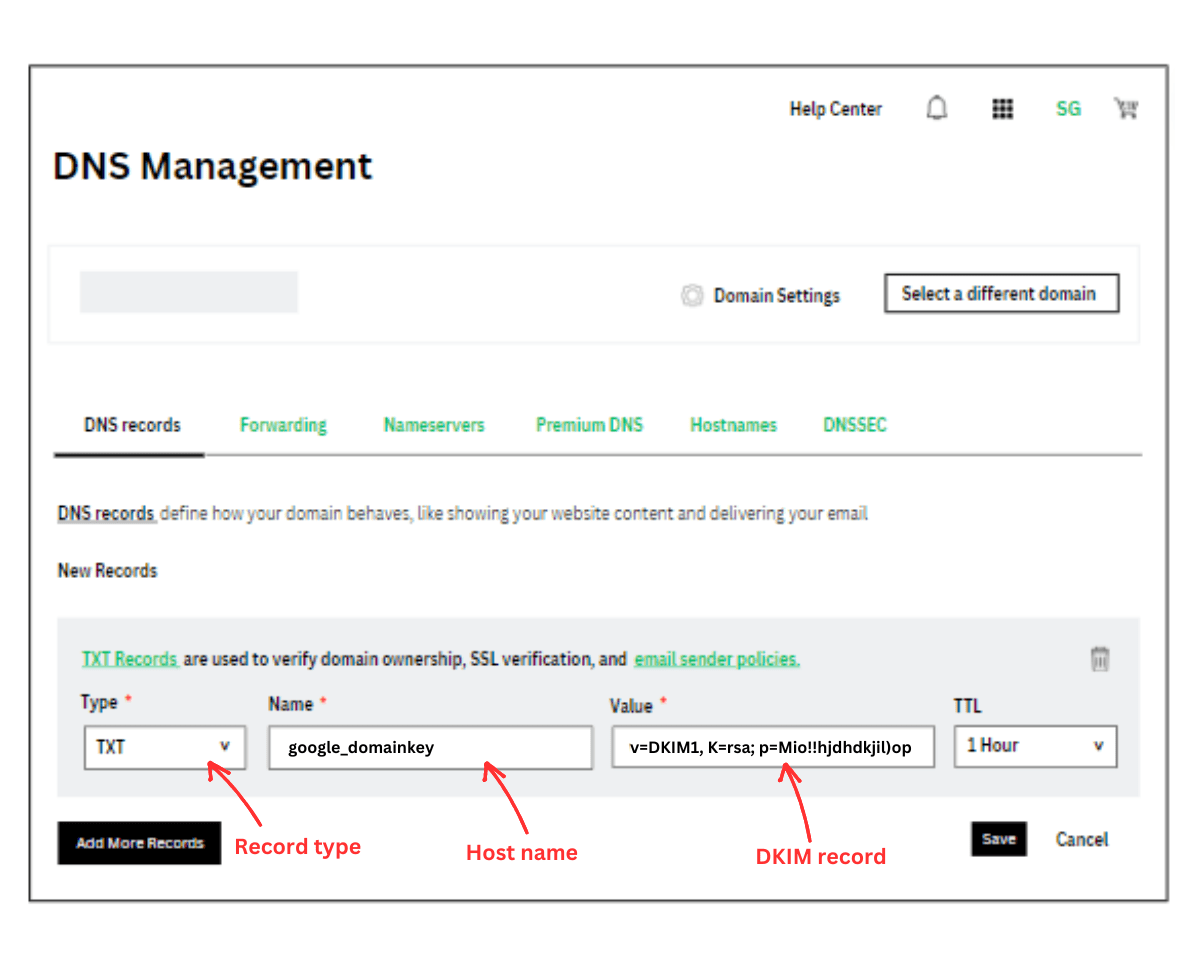 DNS Management screen
