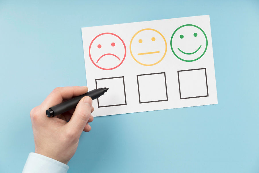 customer sentiment analysis