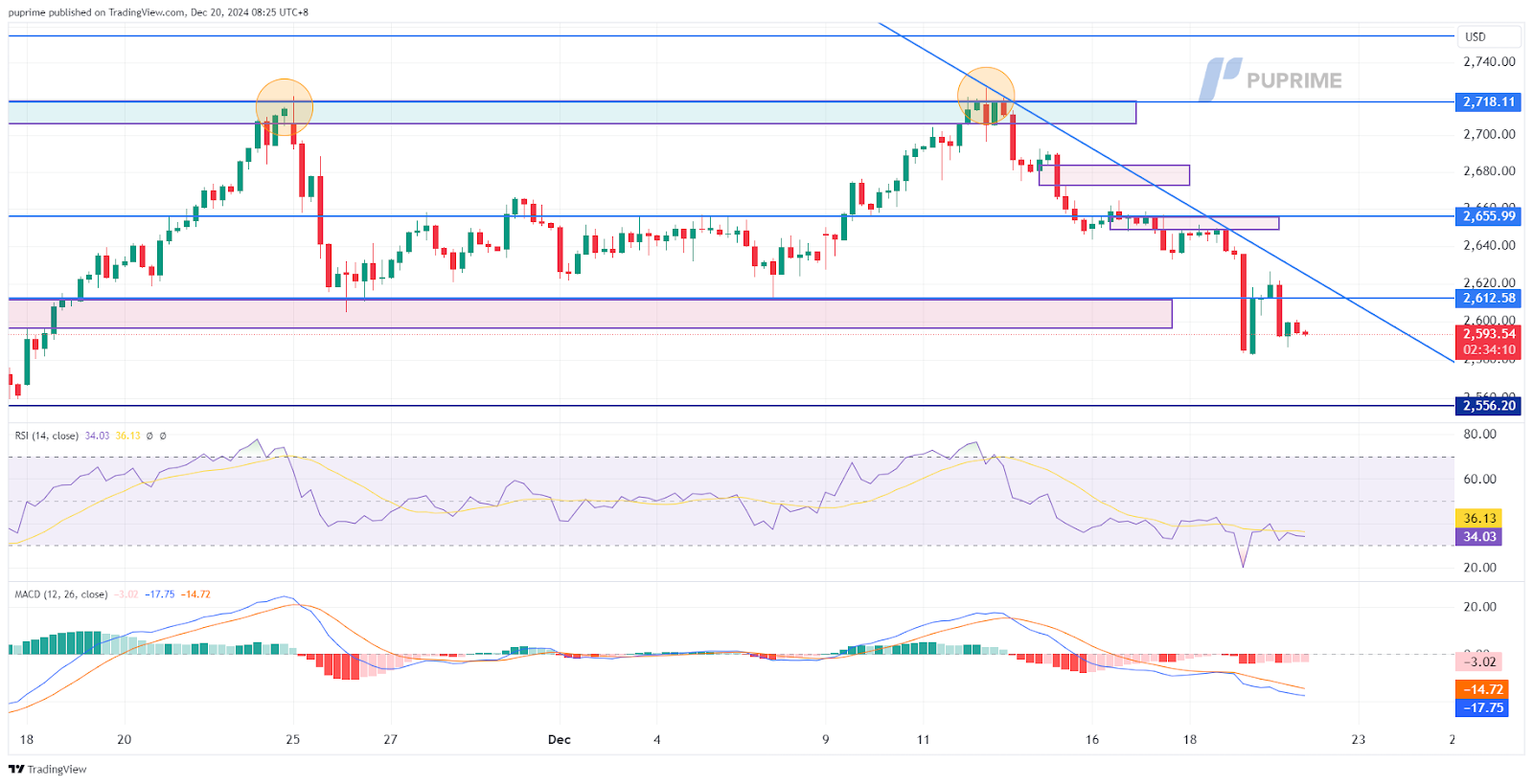 XAUUSD 20122024