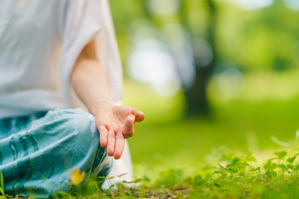 芝生で瞑想している様子