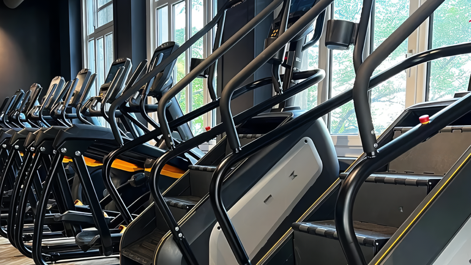 Best Stair Climber