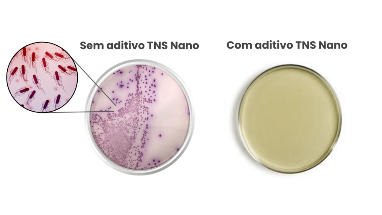 Resultados de nanotecnologia em placas