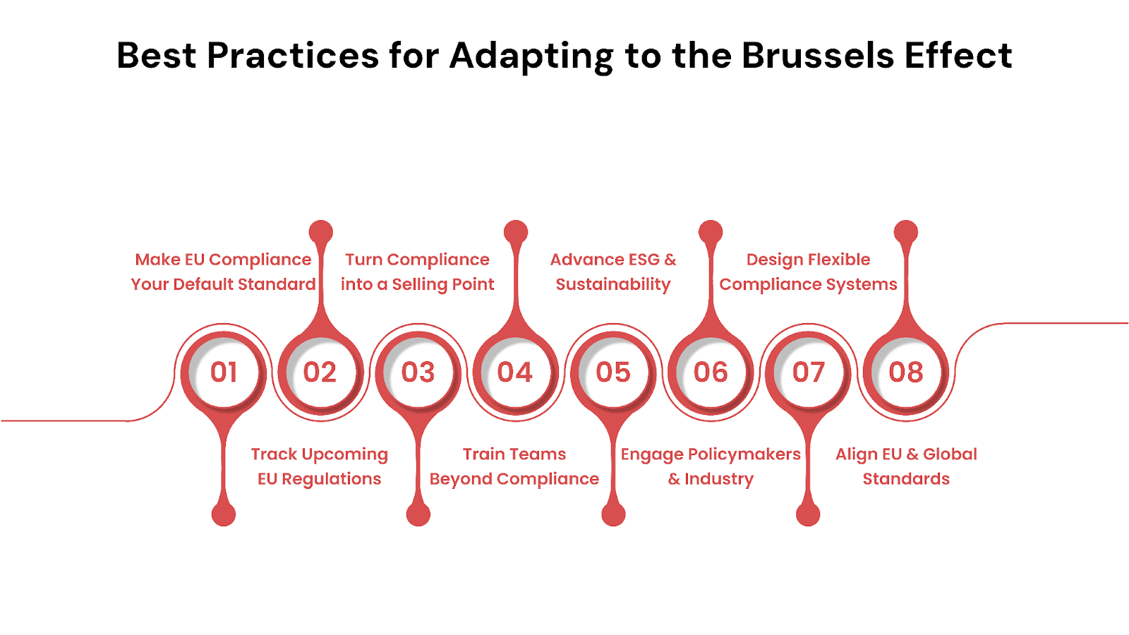 Best Practices for Adapting to the Brussels Effect