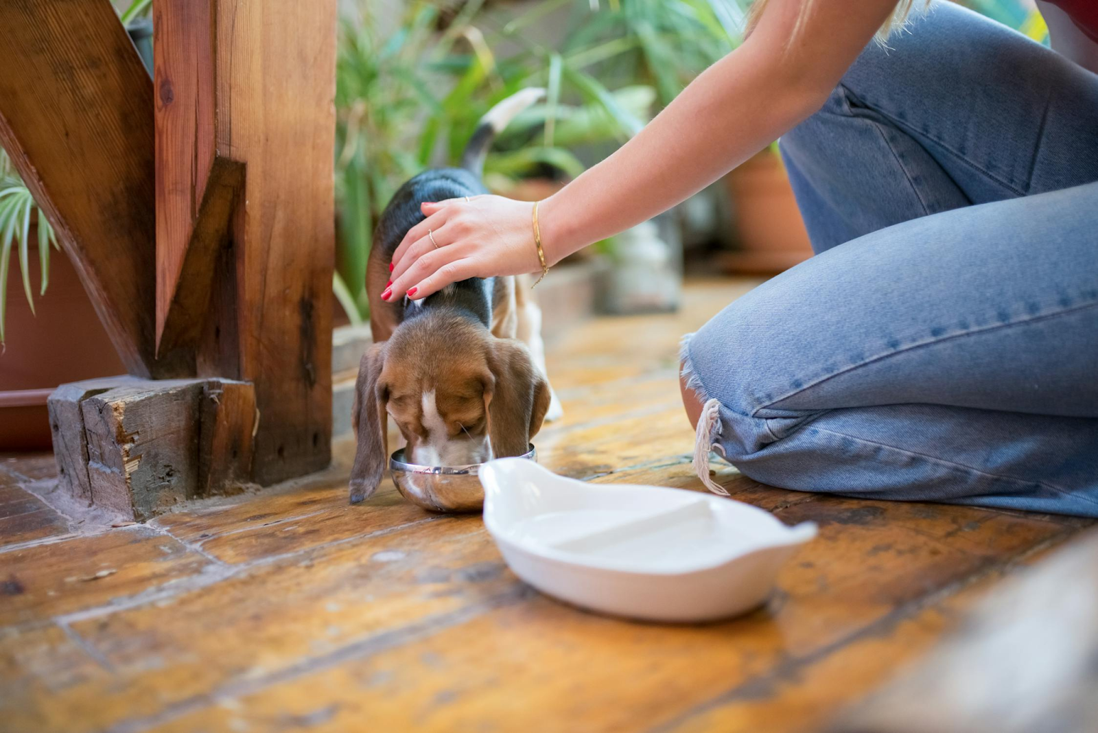 Dog Water Bottle with Bowl