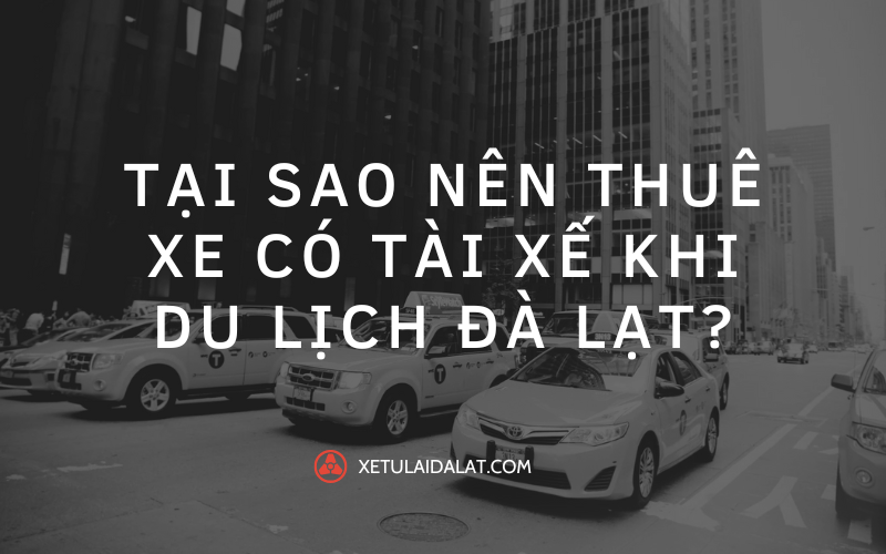 Để tận hưởng trọn vẹn chuyến du lịch và khám phá các điểm đến nổi tiếng, nhiều du khách lựa chọn thuê xe có tài xế Đà Lạt