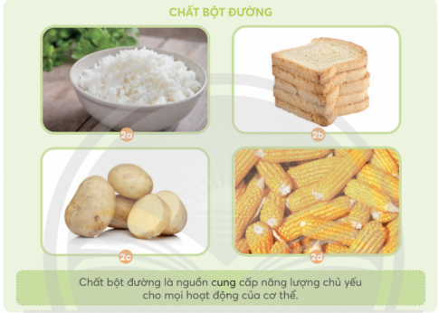 BÀI 23: CÁC NHÓM CHẤT DINH DƯỠNG CÓ TRONG THỨC ĂN