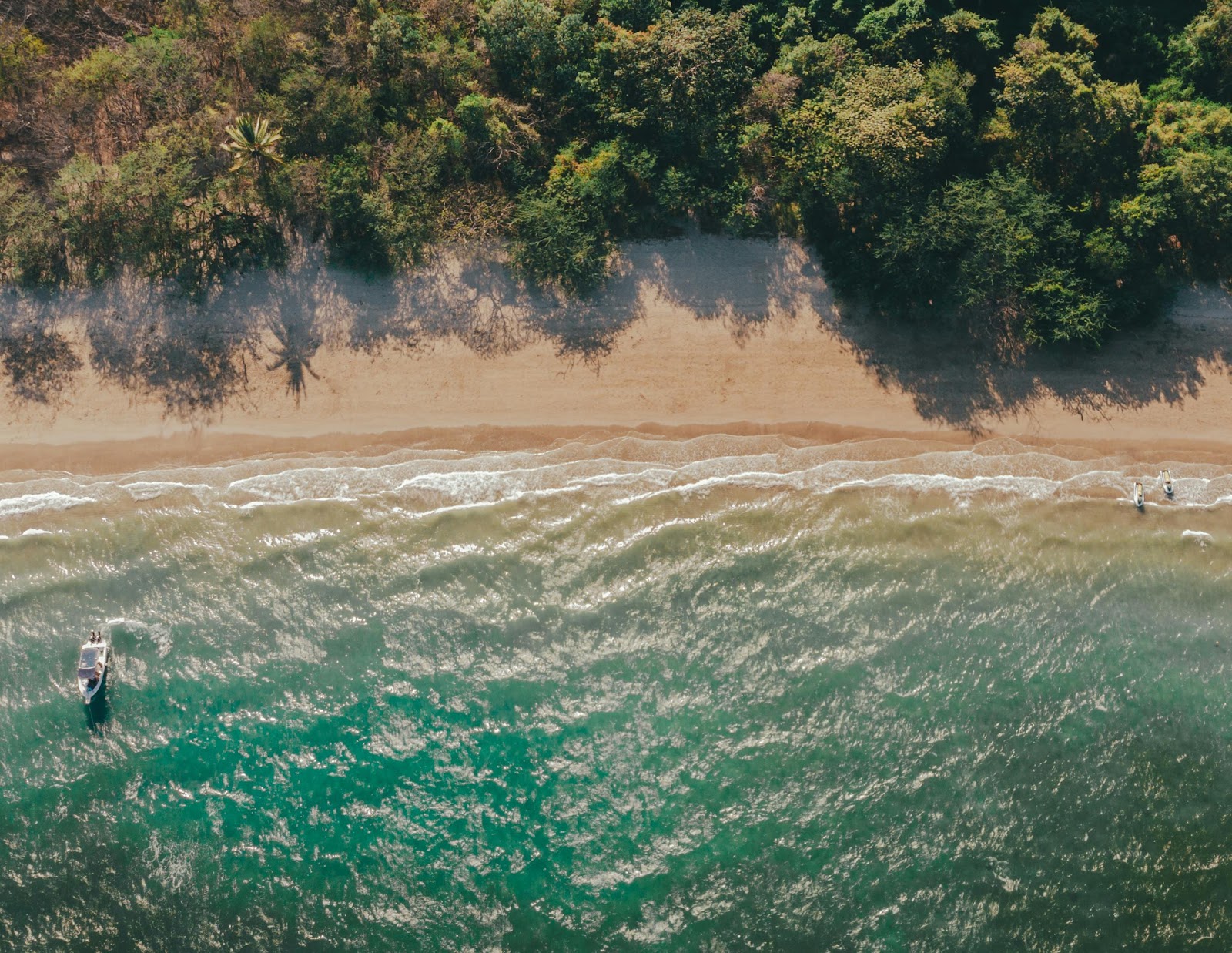 A beach with trees and sand

Description automatically generated