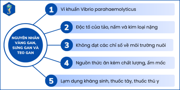 AD_4nXcA0QHhK29EzHHx9s4xdfAWdANFvtqlJv0Hu4KobusfCXwvZgVLVT5ADPskuICT5WE91sgcLOE-kNA-S0I0sv8xqGn_6JX020z74fVmUrrW8Kamk2JV2c5yXOVmn4_vitjK5CGevs891_kv5c-w7HCCC_tS?key=sOcSTfx7G830IXODv5bwZg