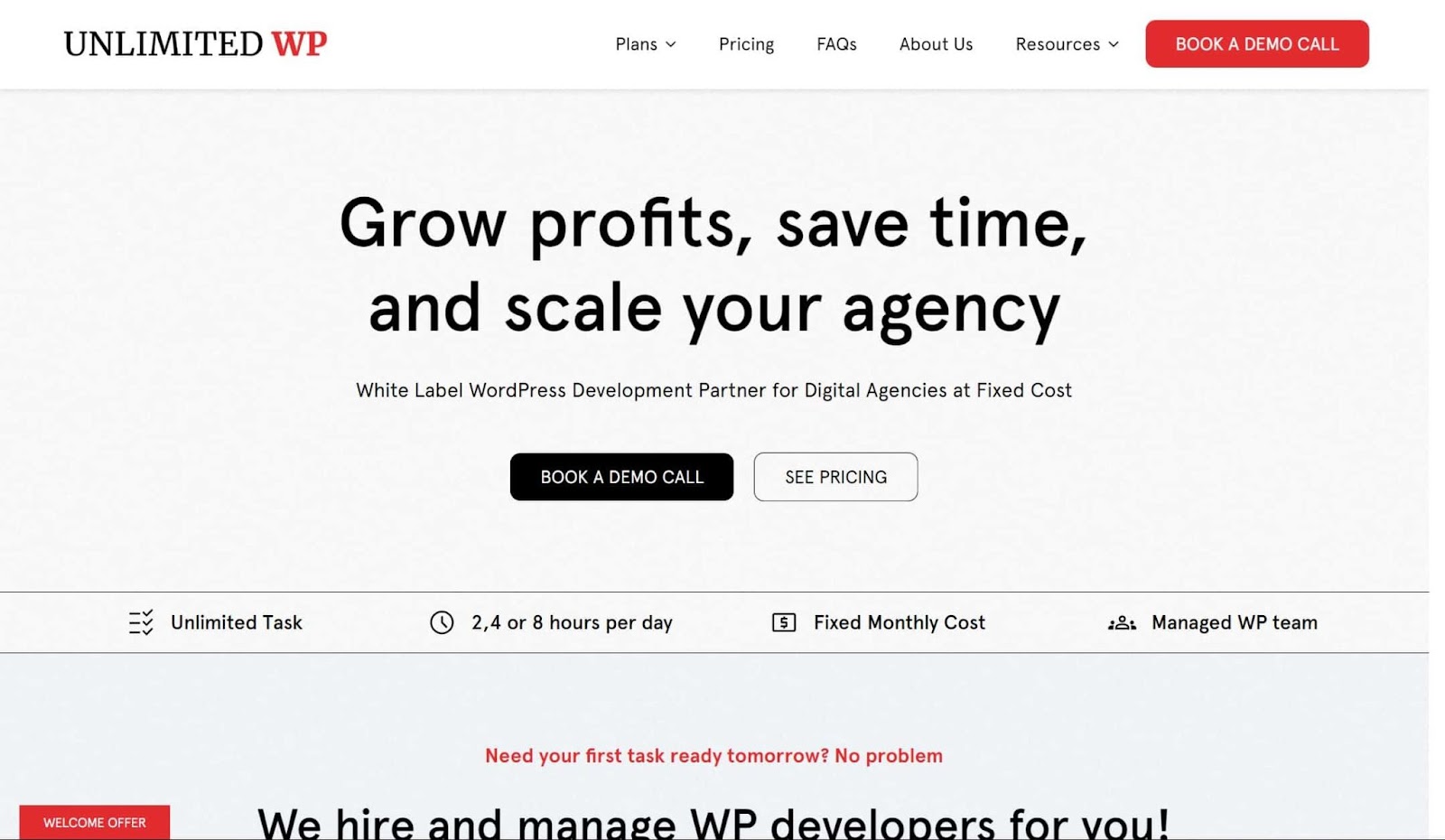 Screenshot of UnlimitedWP website