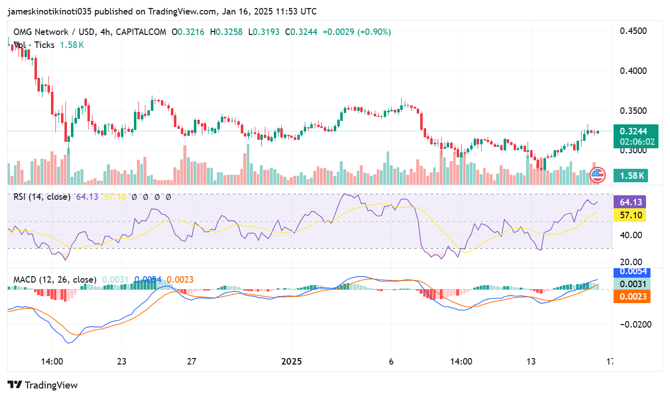 OMG 4-hour price chart