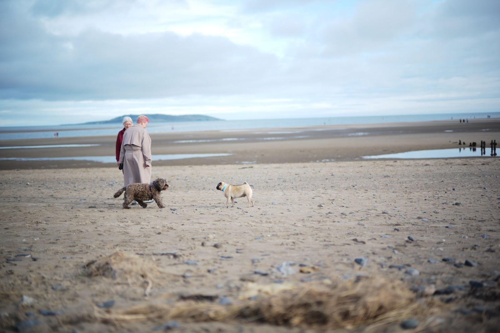 Lose Weight by Walking Dublin: 10 Stunning Walks to Help You Get Your Steps In