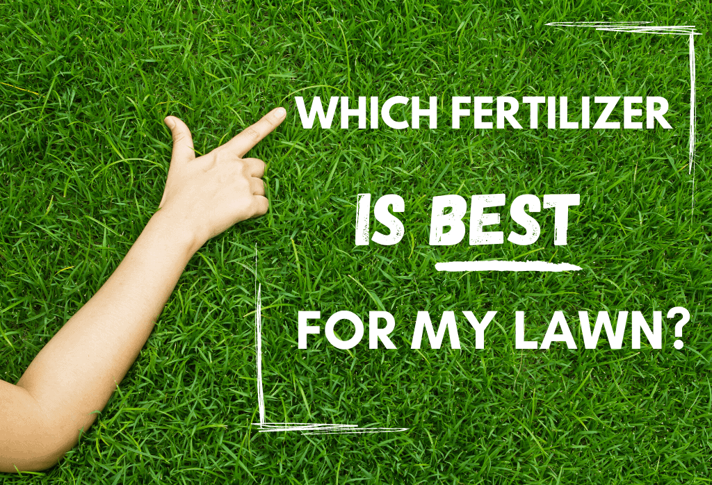 Best Fertilizers for a Green, Healthy Lawn