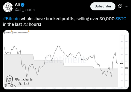 Bitcoin Whale Selloff