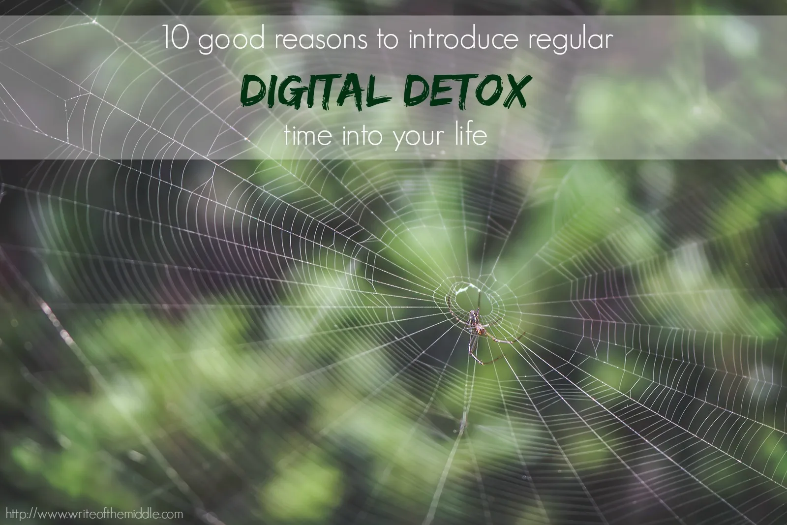 Simple tip to break free from electronic gadgets | Digital detox benefits