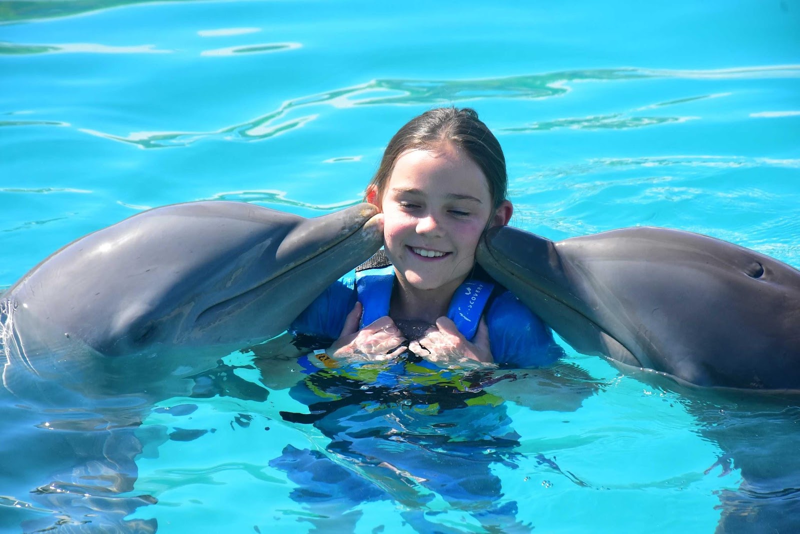 Experience Unforgettable Adventures at Dolphin Discovery Grand Cayman