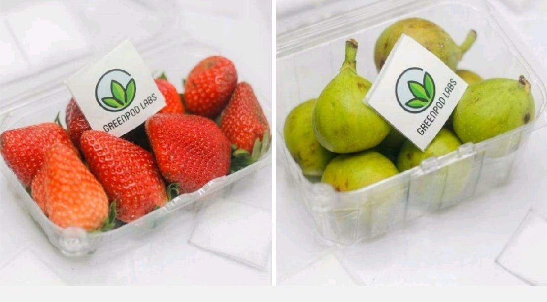 Sachets biodégradables de GreenPod Labs, ajoutés dans des barquettes de fruits