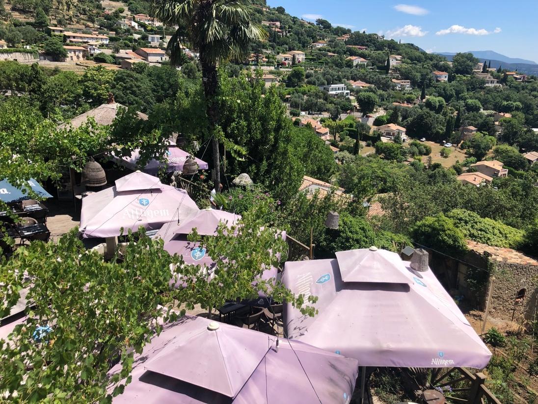 A group of umbrellas in a valley

Description automatically generated