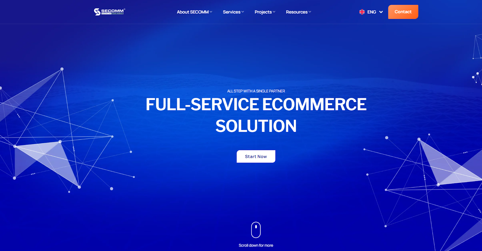 secomm-e-commerce-development-agency