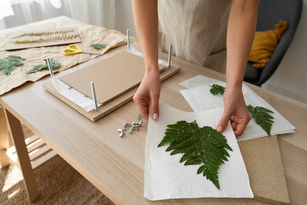 Sustainable Home Improvement Ideas for Eco-Friendly Living