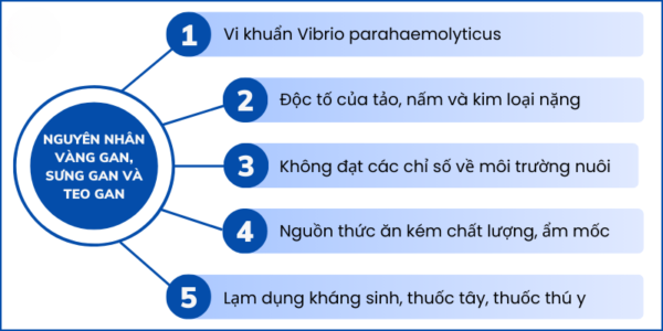 AD_4nXcARw20a6v6Pnxun5Or33HL9_XbbIcmLkFjI4jB91_TlnU7TZPy3HYdZV5T4AZOvybYZpJWZ9v1RaLjiq44rBhcYoT9d5d2ON_nQ4wHyV28Ej1LP0YGqMoK5Y2wQdK_ggYb9rcqgg?key=6R5vLx8D_aXnhWpMJo0VugPH