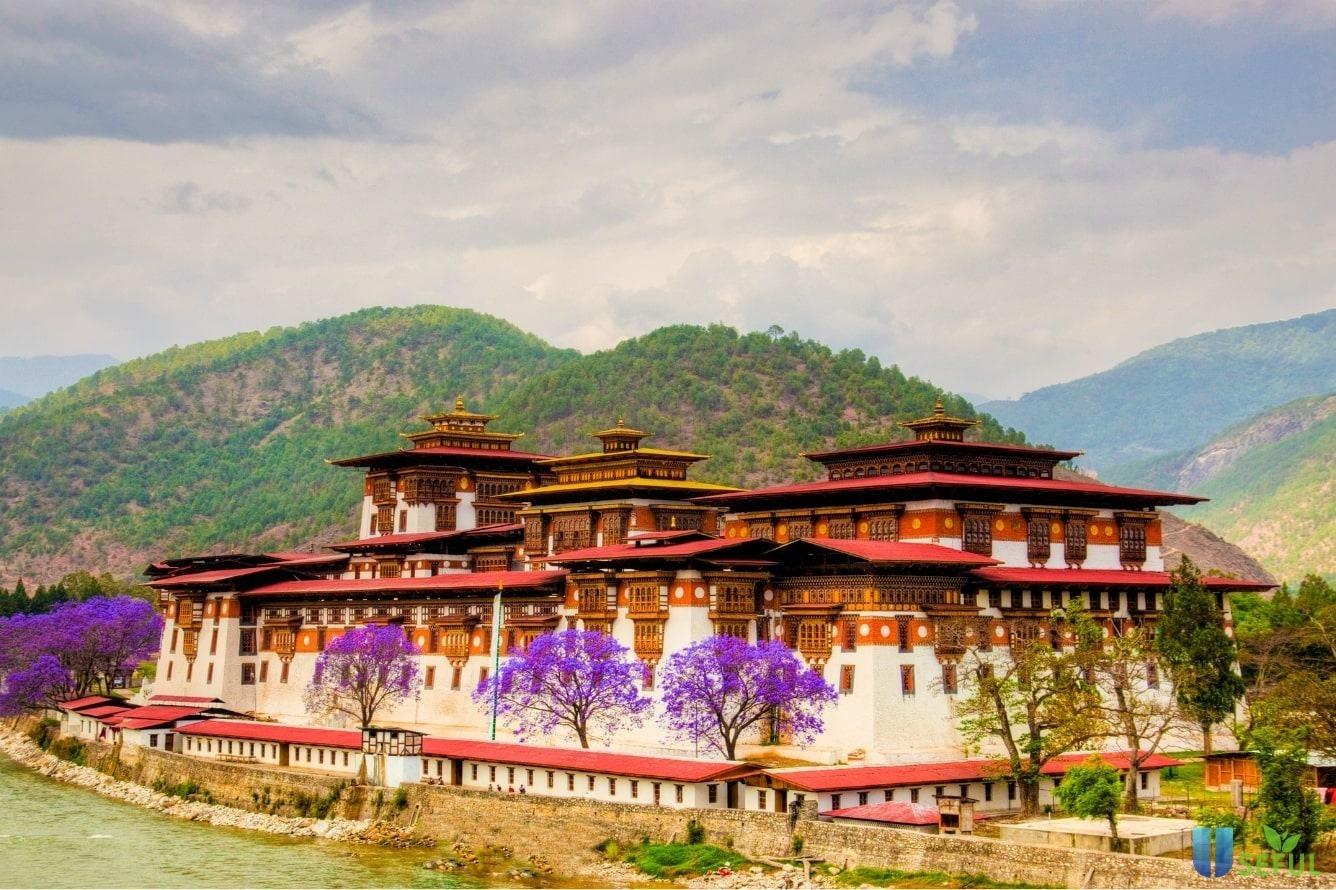 Punakha Dzong next to a riverDescription automatically generated