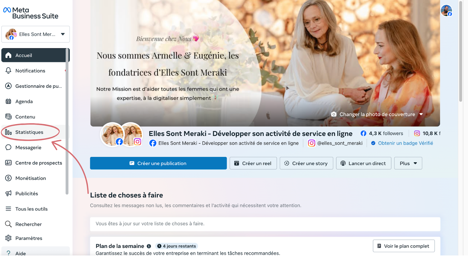 statistiques Facebook Meta Business Suite