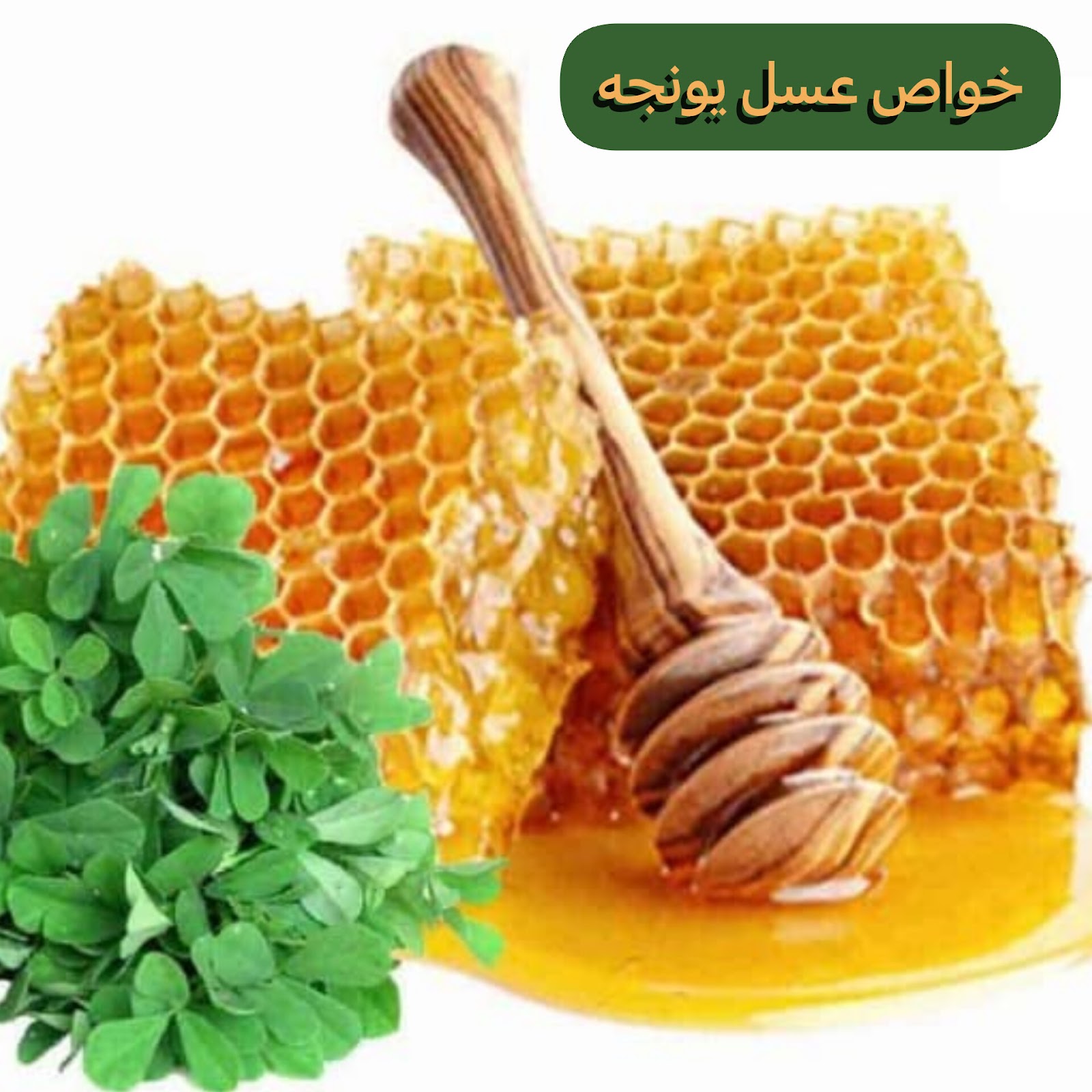 خواص عسل یونجه